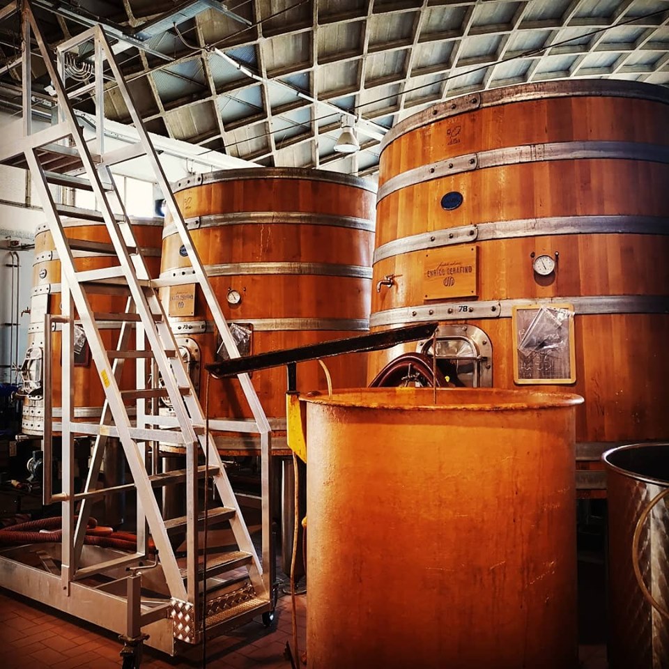 VISITA IN CANTINA - ENRICO SERAFINO