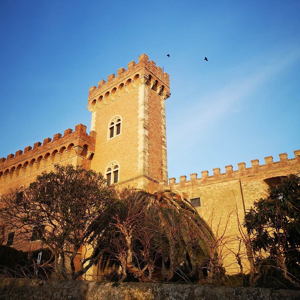 BOLGHERI 2020