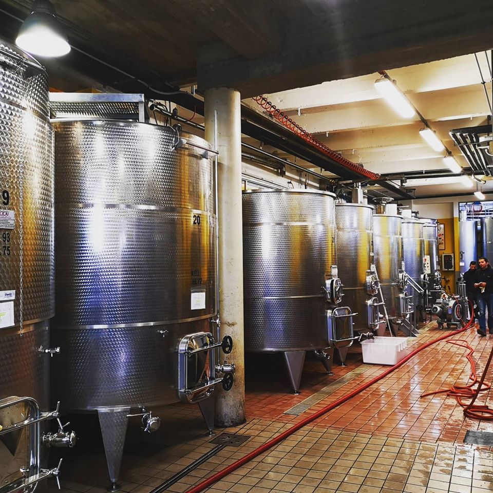 Vietti - Castiglione Falletto - Barolo e Barbaresco