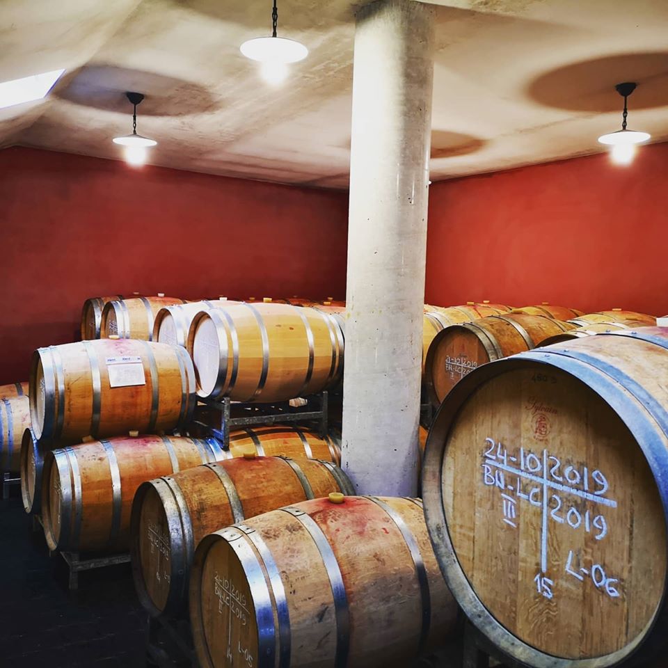 Vietti - Castiglione Falletto - Barolo e Barbaresco