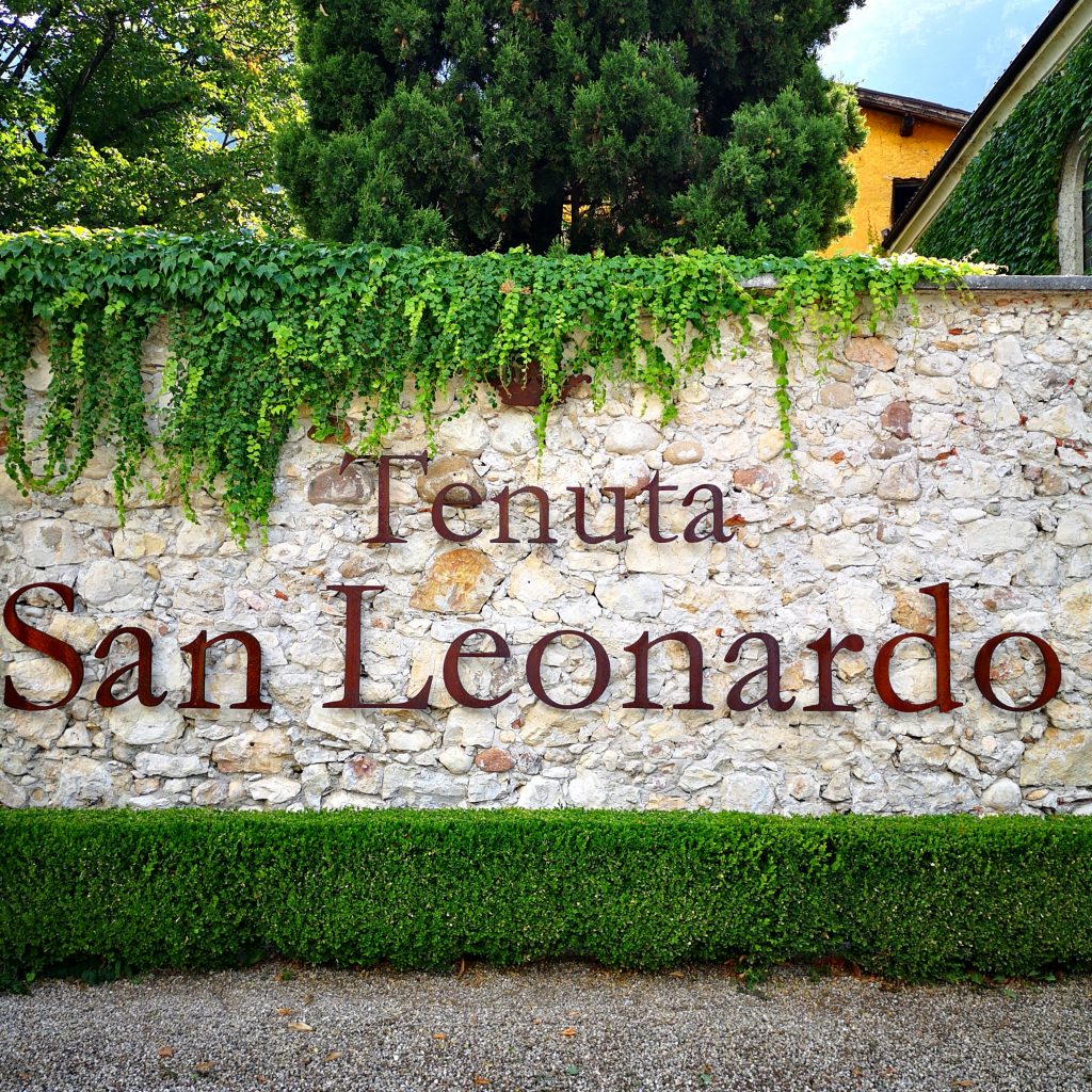 TENUTA SAN LEONARDO - VISITA IN CANTINA
