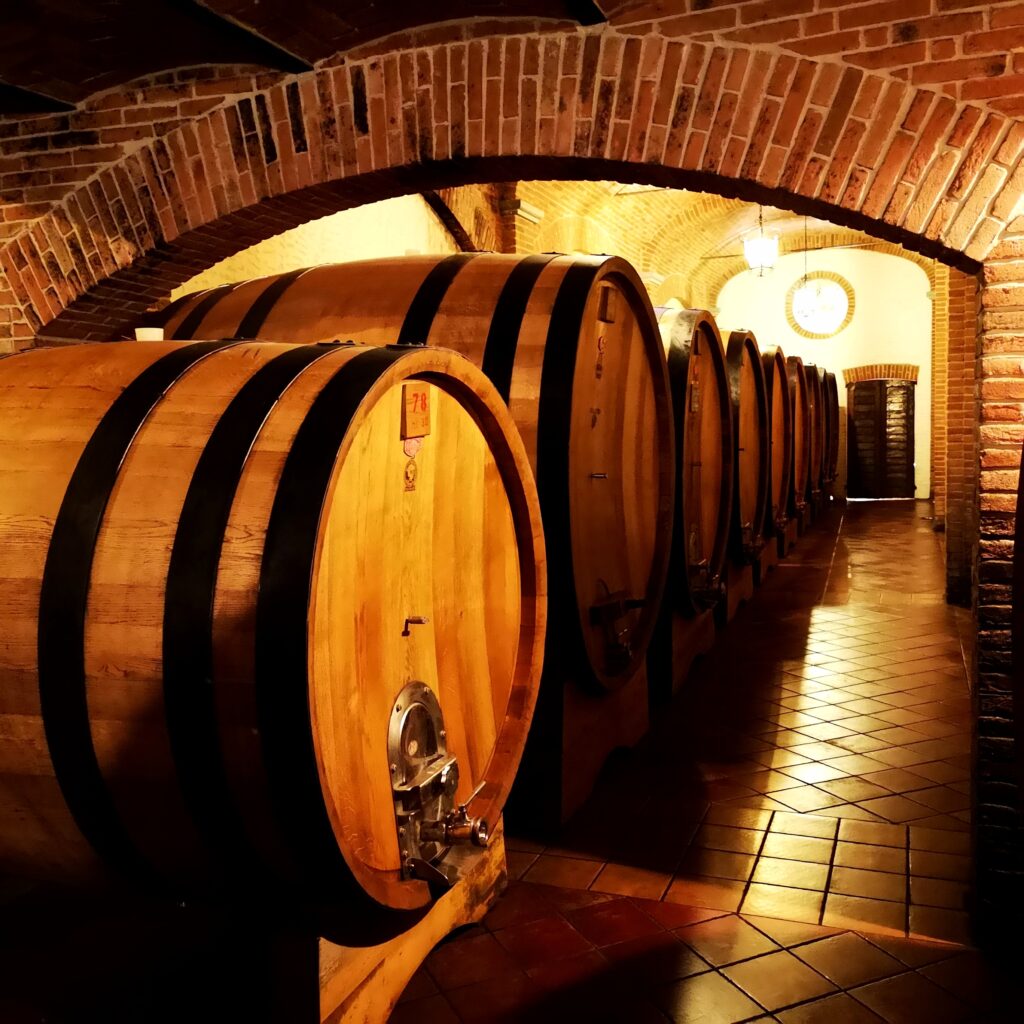 CAVALLOTTO - VISITA IN CANTINA