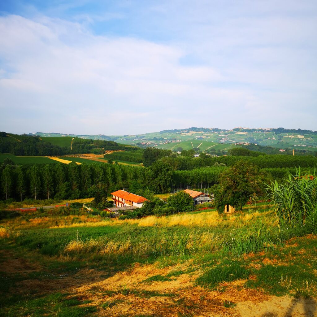 iobevotanto - il barolo