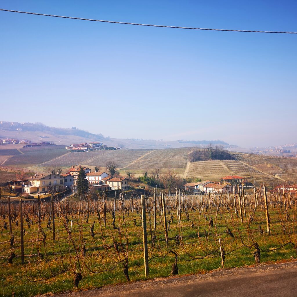 iobevotanto - il barolo