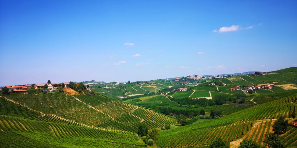iobevotanto - il barolo