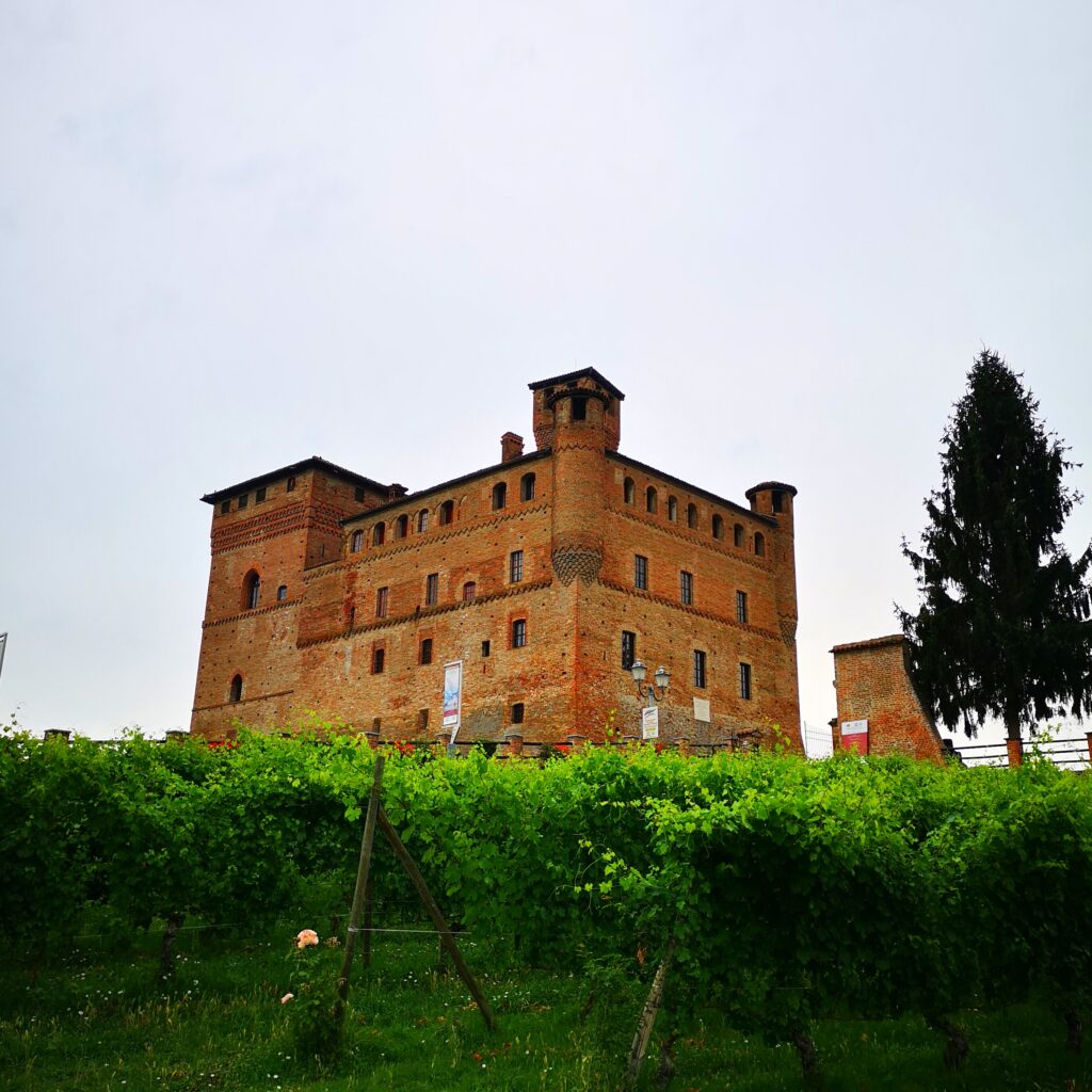 iobevotanto - il barolo