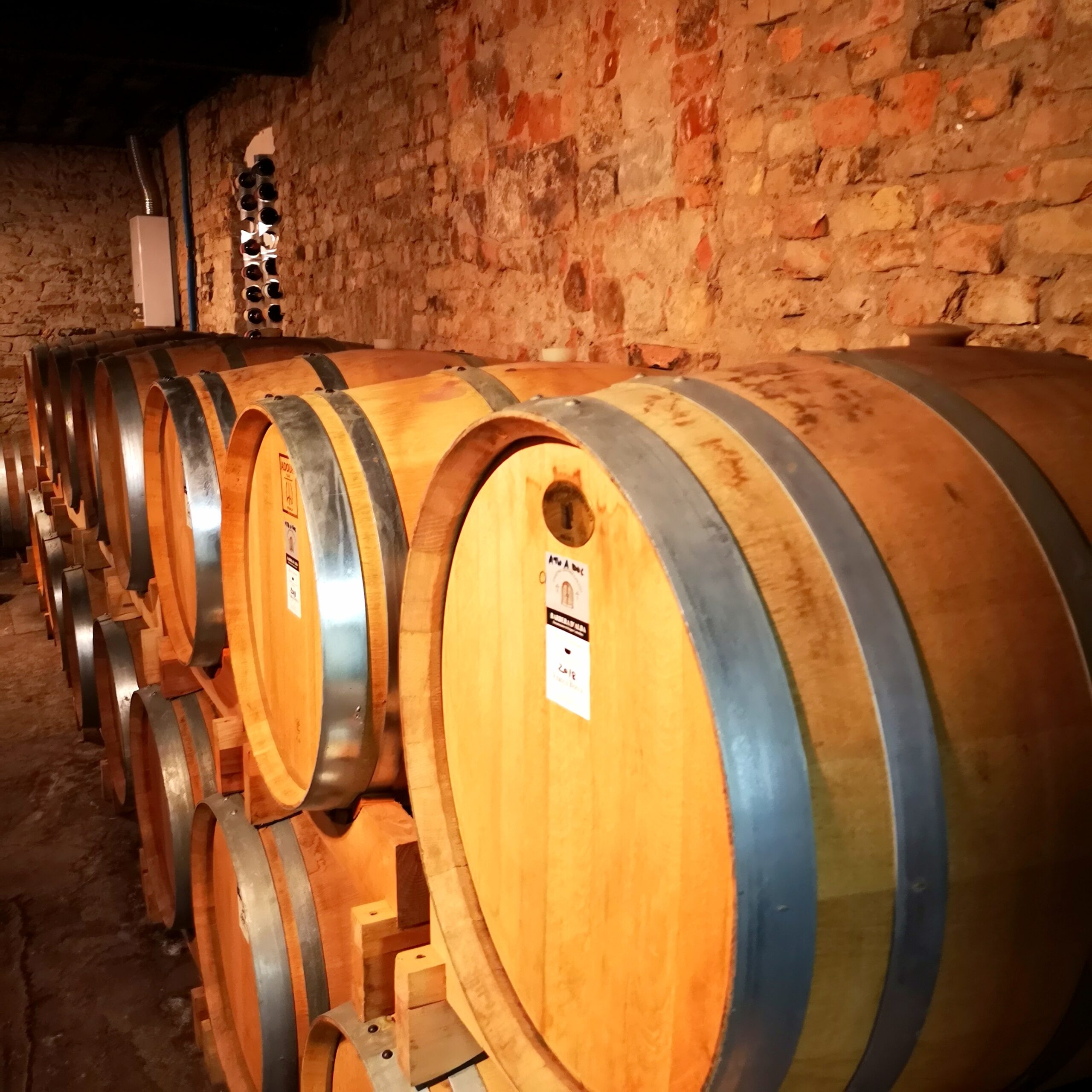 FRANCO ROCCA - BARBARESCO - VISITA IN CANTINA