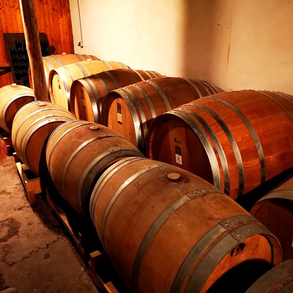 FRANCO ROCCA - BARBARESCO - VISITA IN CANTINA