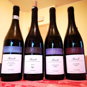 VIRNA BORGOGNO - VISITA IN CANTINA