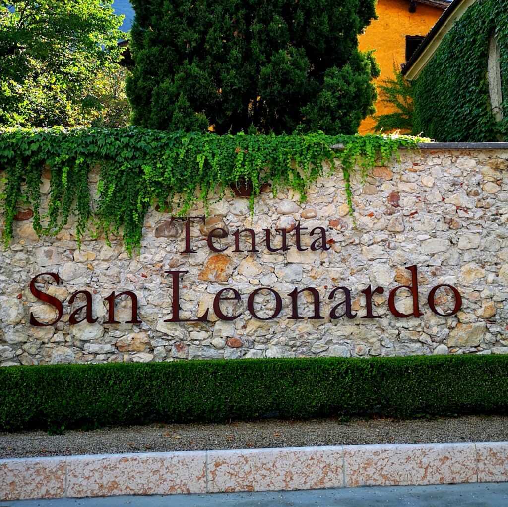 Anselmo Guerrieri Gonzaga - Tenuta San Leonardo - Intervista