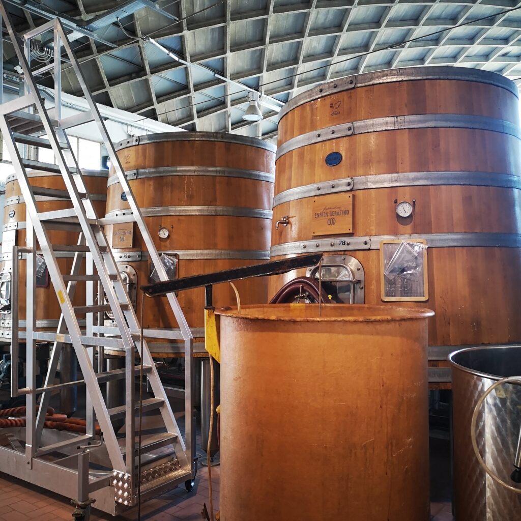 IOBEVOTANTO - Enrico Serafino - Canale - Barolo/Alta Langa