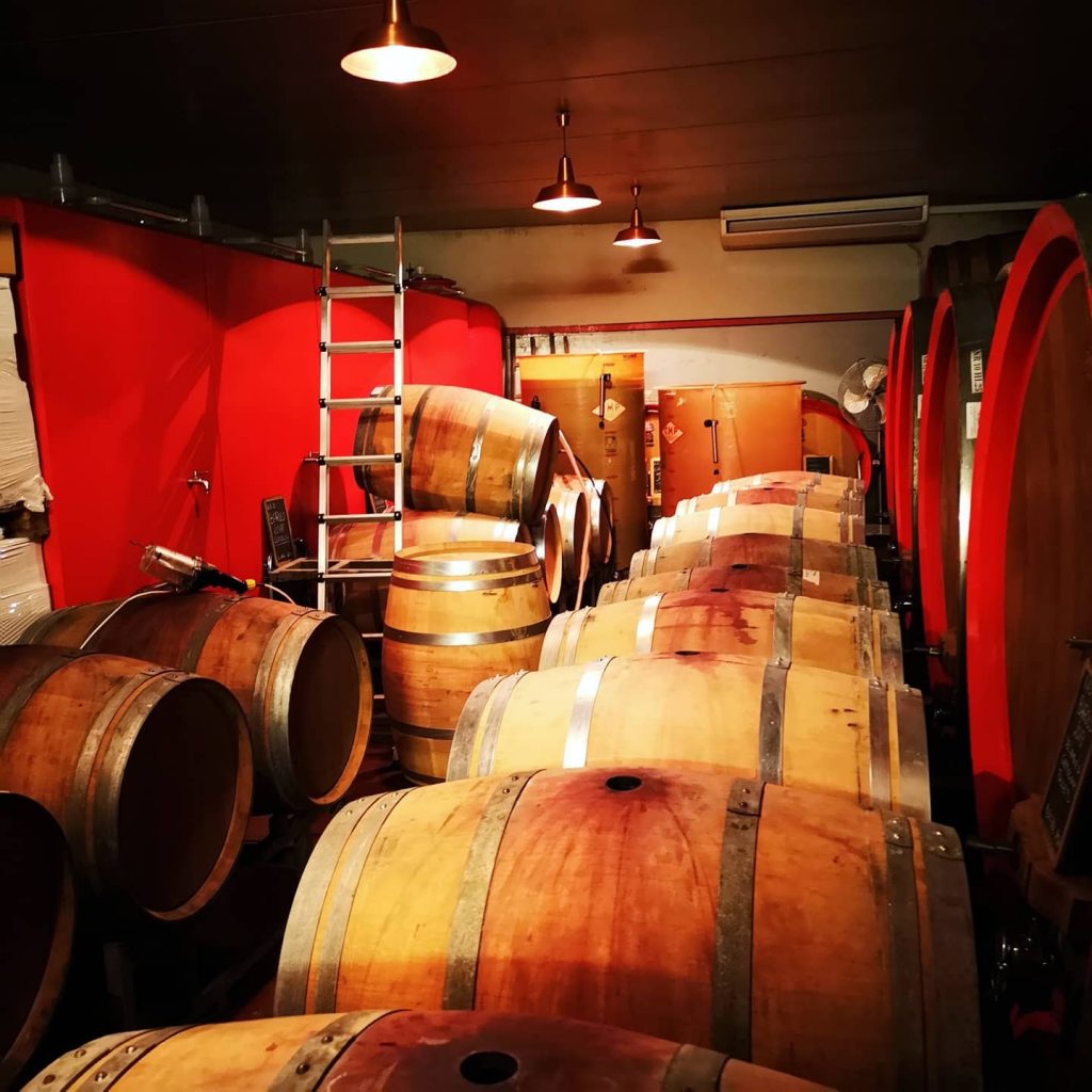 CASCINA FONTANA - PERNO - VISITA IN CANTINA
