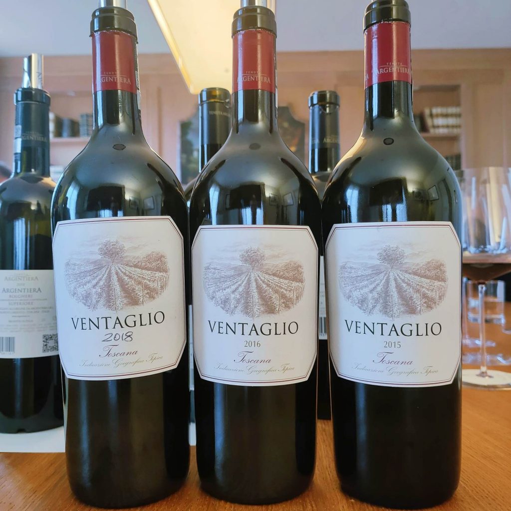 TENUTA ARGENTIERA - DOPPIA VERTICALE IN CANTINA